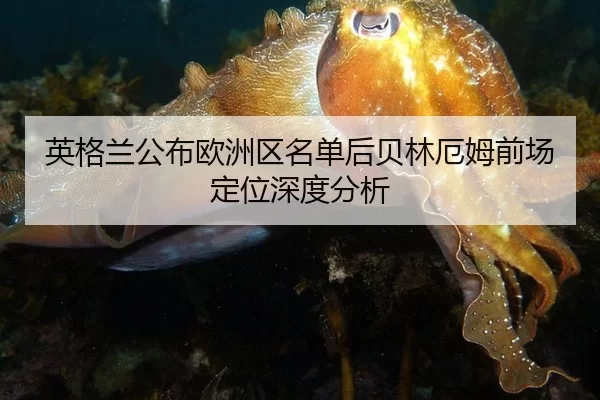 英格兰公布欧洲区名单后贝林厄姆前场定位深度分析